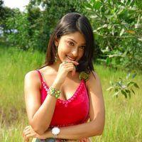 Payal Ghosh Hot New Pictures | Picture 111062